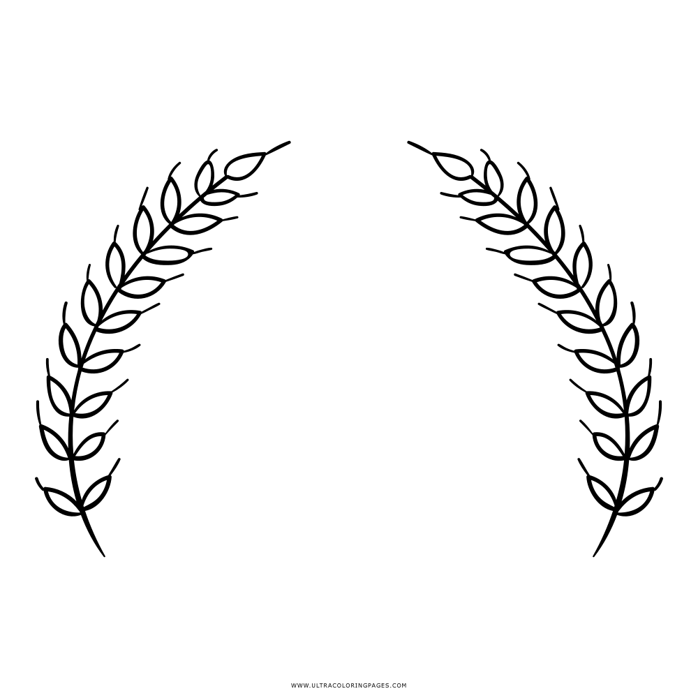 branches Coloring Page